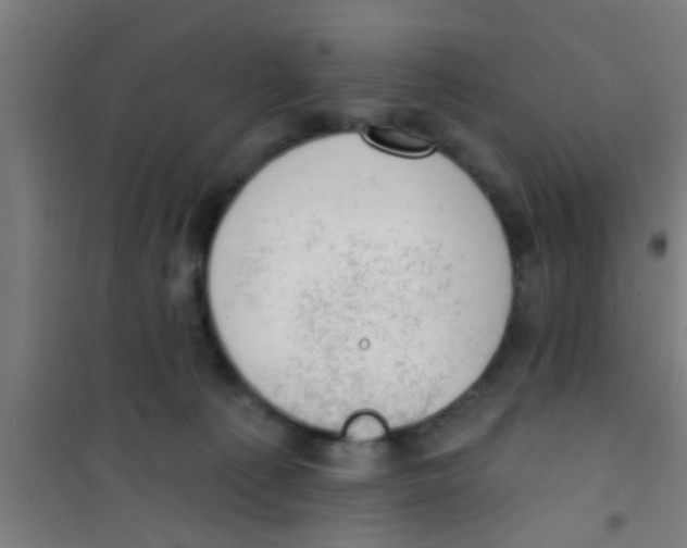 X0000100410225200807032045