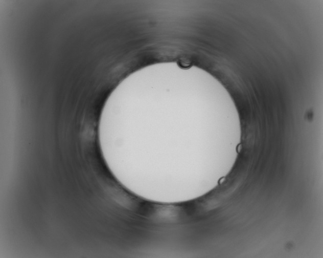 X0000100410226200807032045