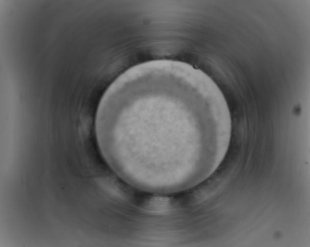 X0000100410227200807032045
