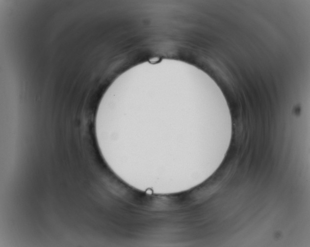 X0000100410229200807032045