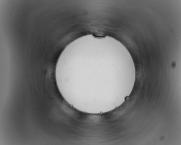 X0000100410233200807032045