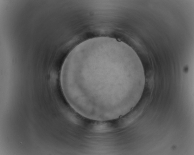 X0000100410235200807032045