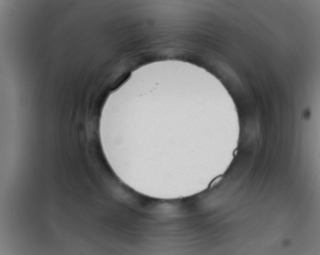 X0000100410236200807032045