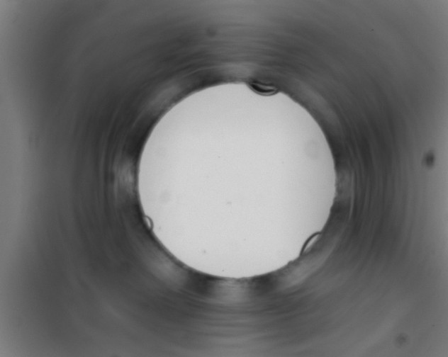 X0000100410238200807032045