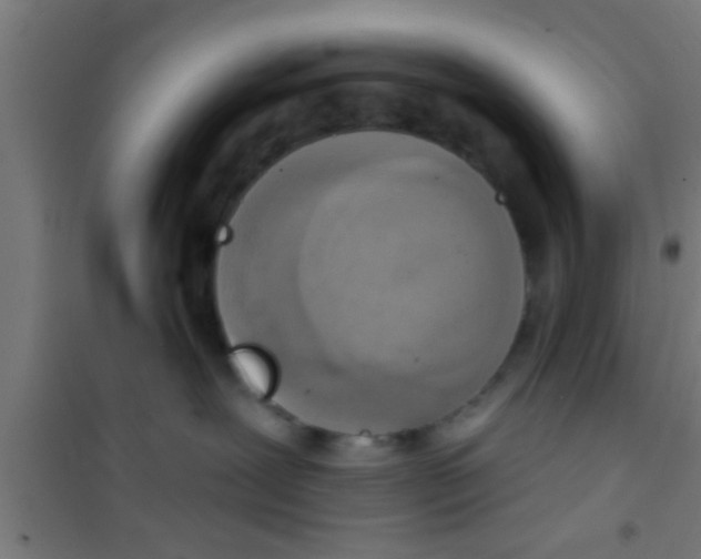 X0000100410239200807032045
