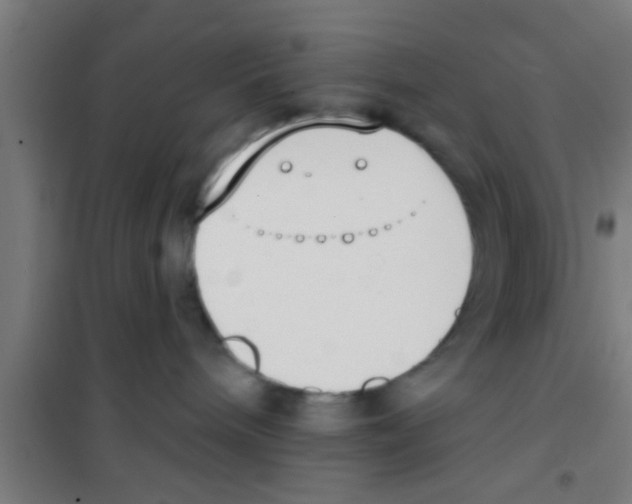 X0000100410240200807032045