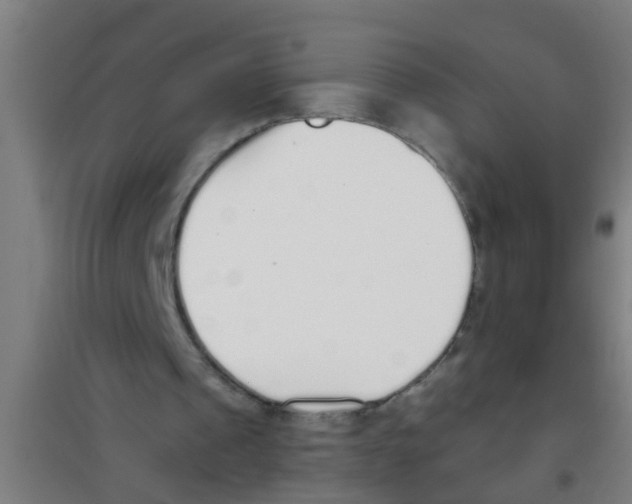 X0000100410241200807032044