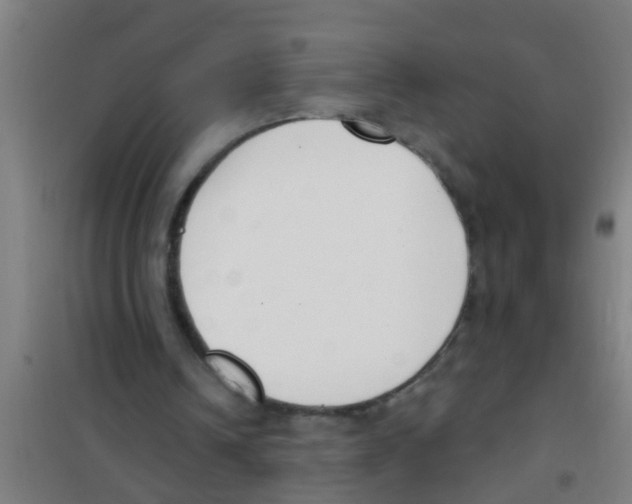 X0000100410242200807032044
