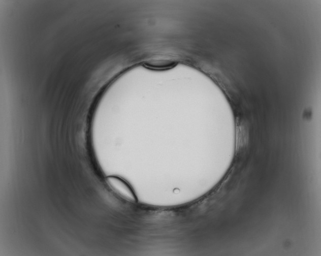 X0000100410243200807032044
