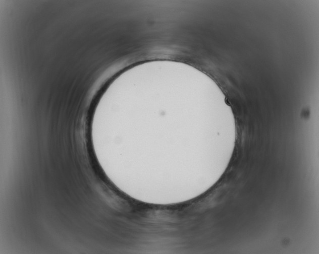 X0000100410244200807032044