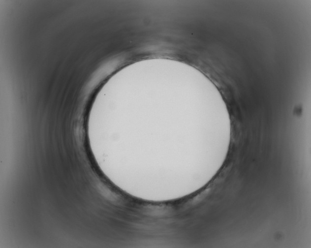 X0000100410245200807032044