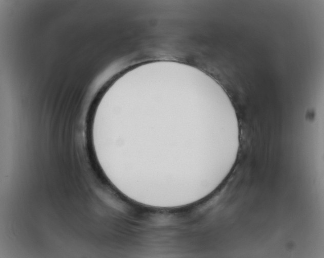 X0000100410246200807032044