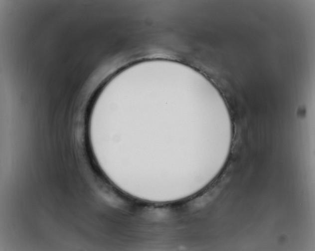 X0000100410247200807032044