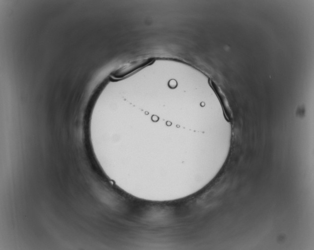 X0000100410248200807032044
