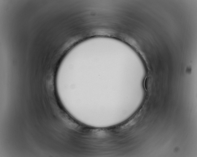 X0000100410249200807032044