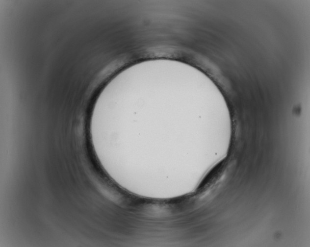 X0000100410250200807032044