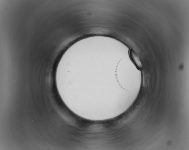 X0000100410252200807032044
