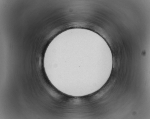 X0000100410253200807032044