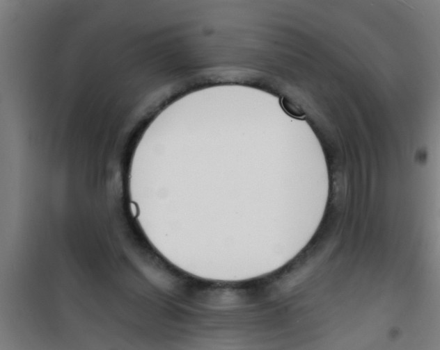 X0000100410254200807032044