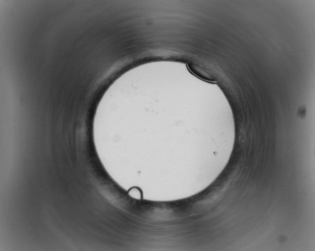 X0000100410256200807032044