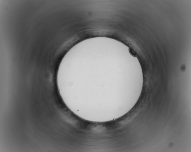 X0000100410258200807032045