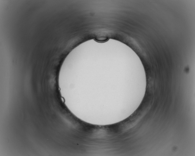 X0000100410259200807032045