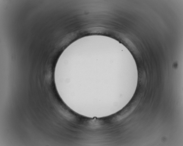 X0000100410261200807032045