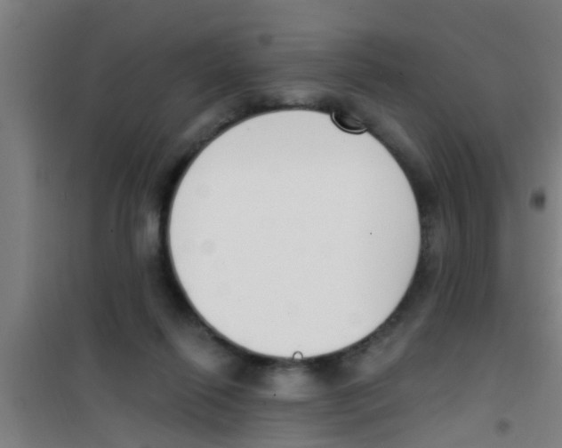 X0000100410262200807032045