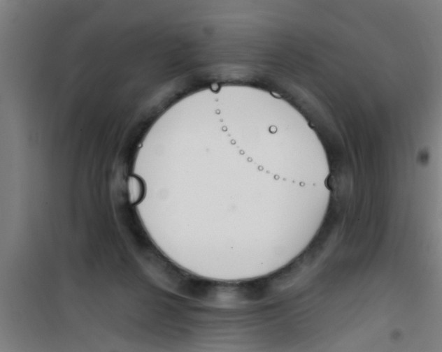 X0000100410264200807032045