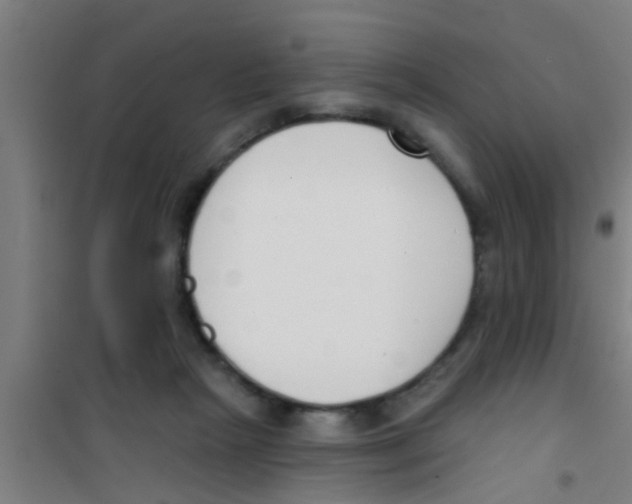 X0000100410265200807032045