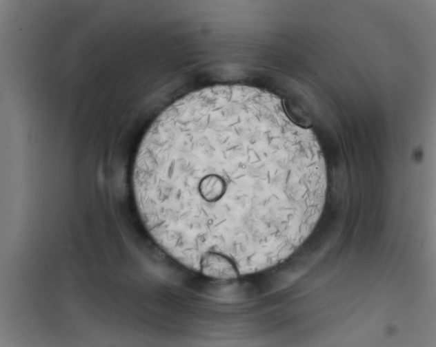 X0000100410267200807032045