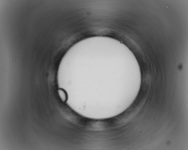 X0000100410268200807032045