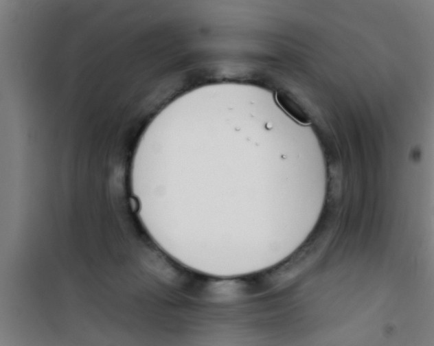 X0000100410269200807032045