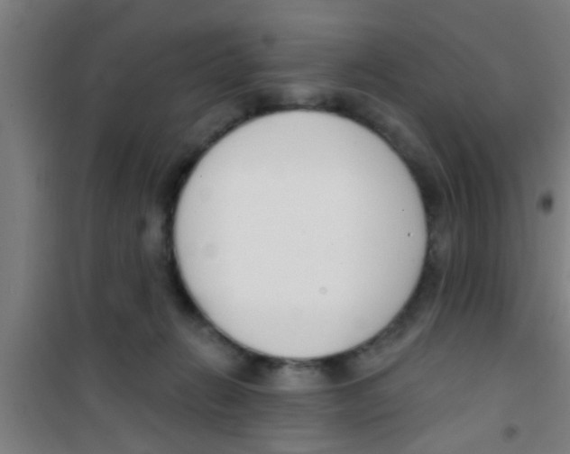 X0000100410270200807032045