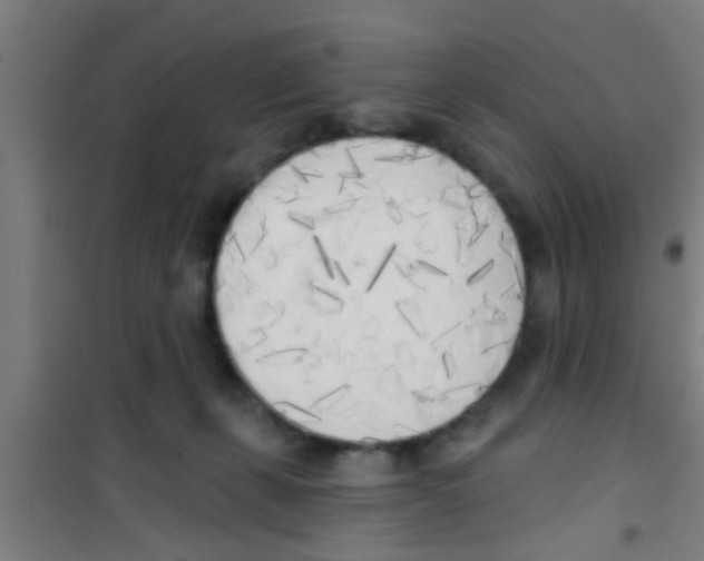 X0000100410271200807032045