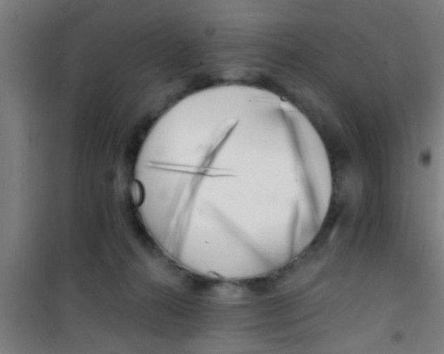 X0000100410272200807032045