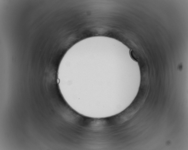 X0000100410274200807032045