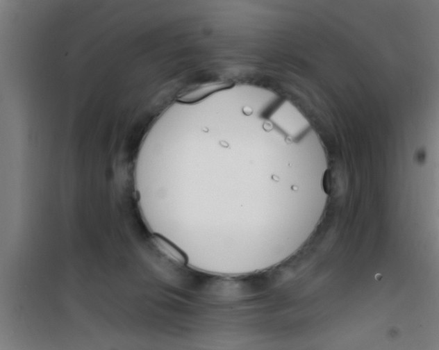 X0000100410276200807032045
