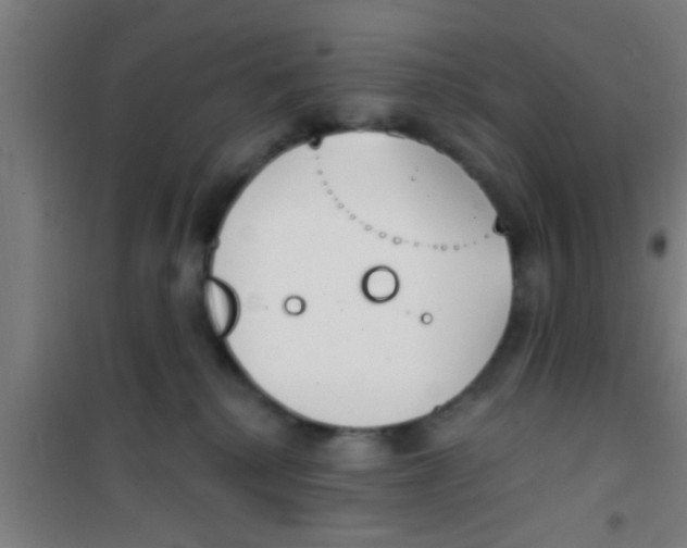 X0000100410280200807032045