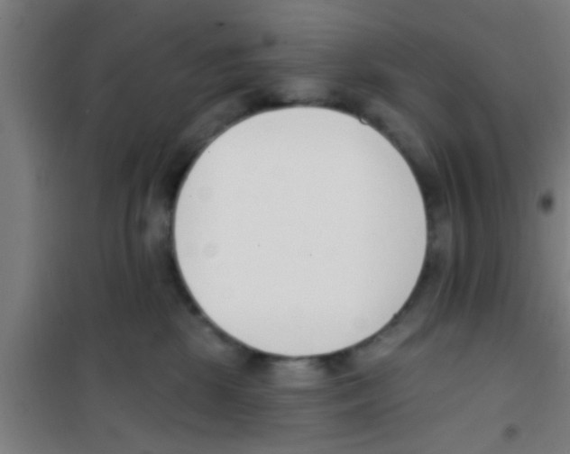 X0000100410281200807032045