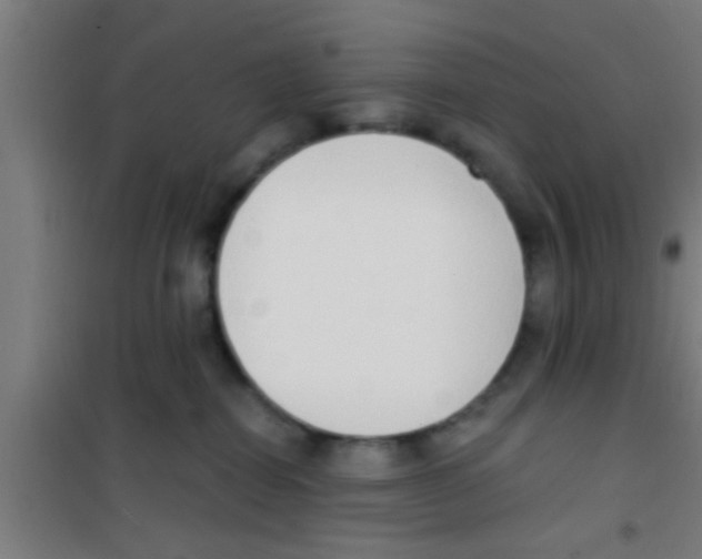 X0000100410282200807032045