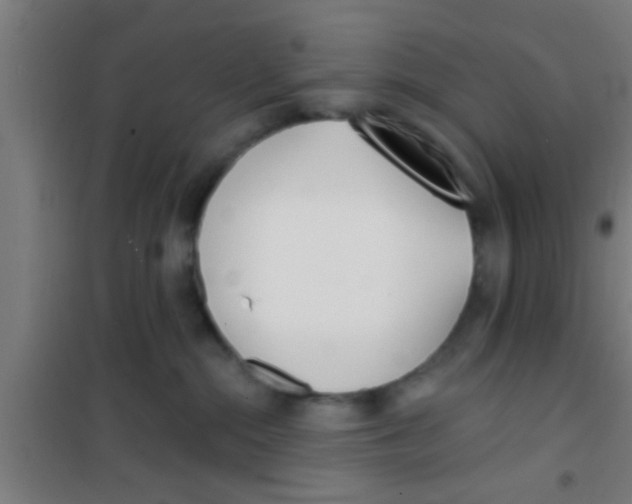 X0000100410284200807032045