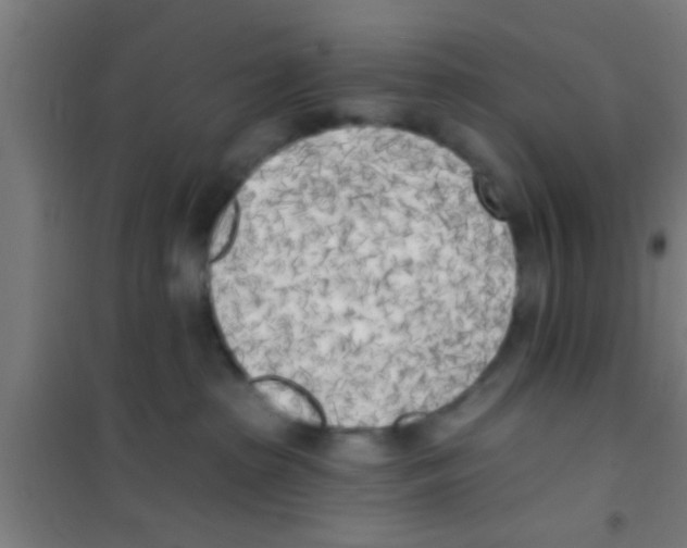 X0000100410285200807032045