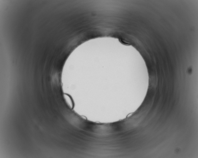 X0000100410286200807032045