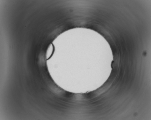 X0000100410287200807032045
