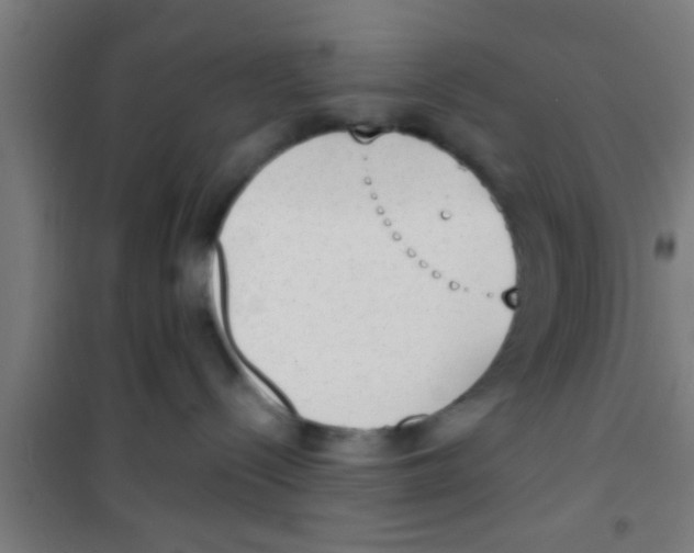 X0000100410288200807032045