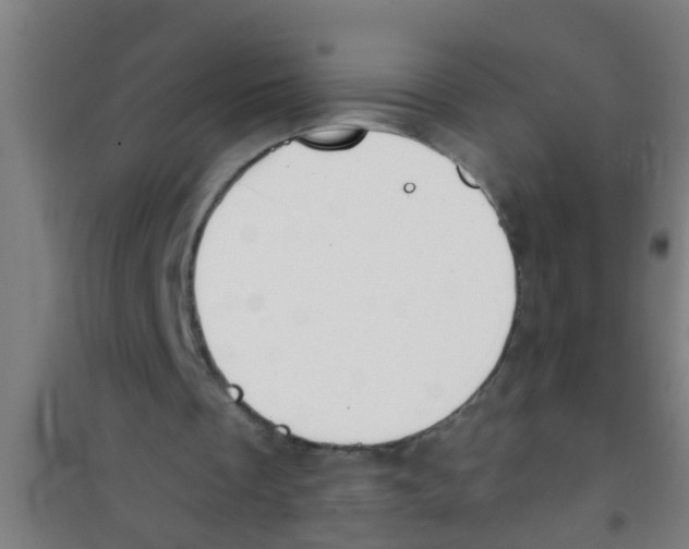X0000100410289200807032044