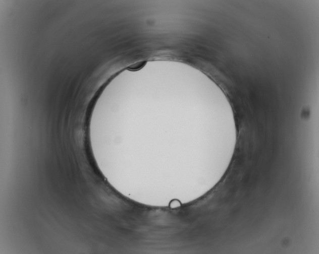 X0000100410290200807032044