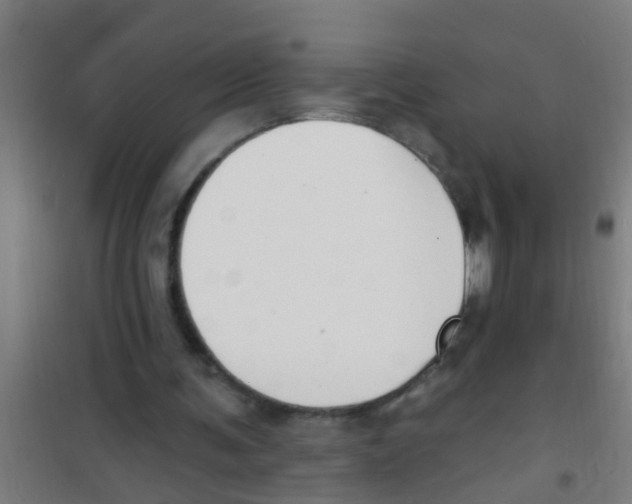 X0000100410291200807032044