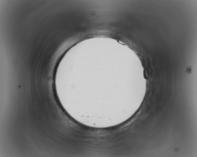 X0000100410293200807032044
